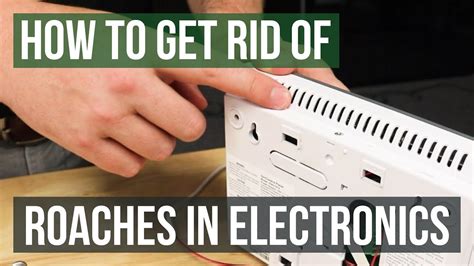 how to insulate electric breaker box for roaches|roach damage to electronics.